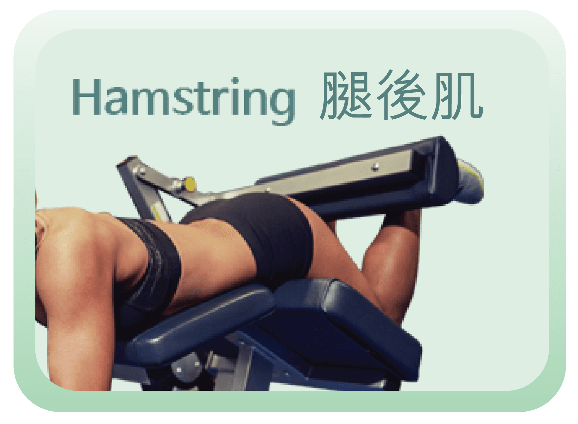 CMSlim 手臂肌肉訓練示意