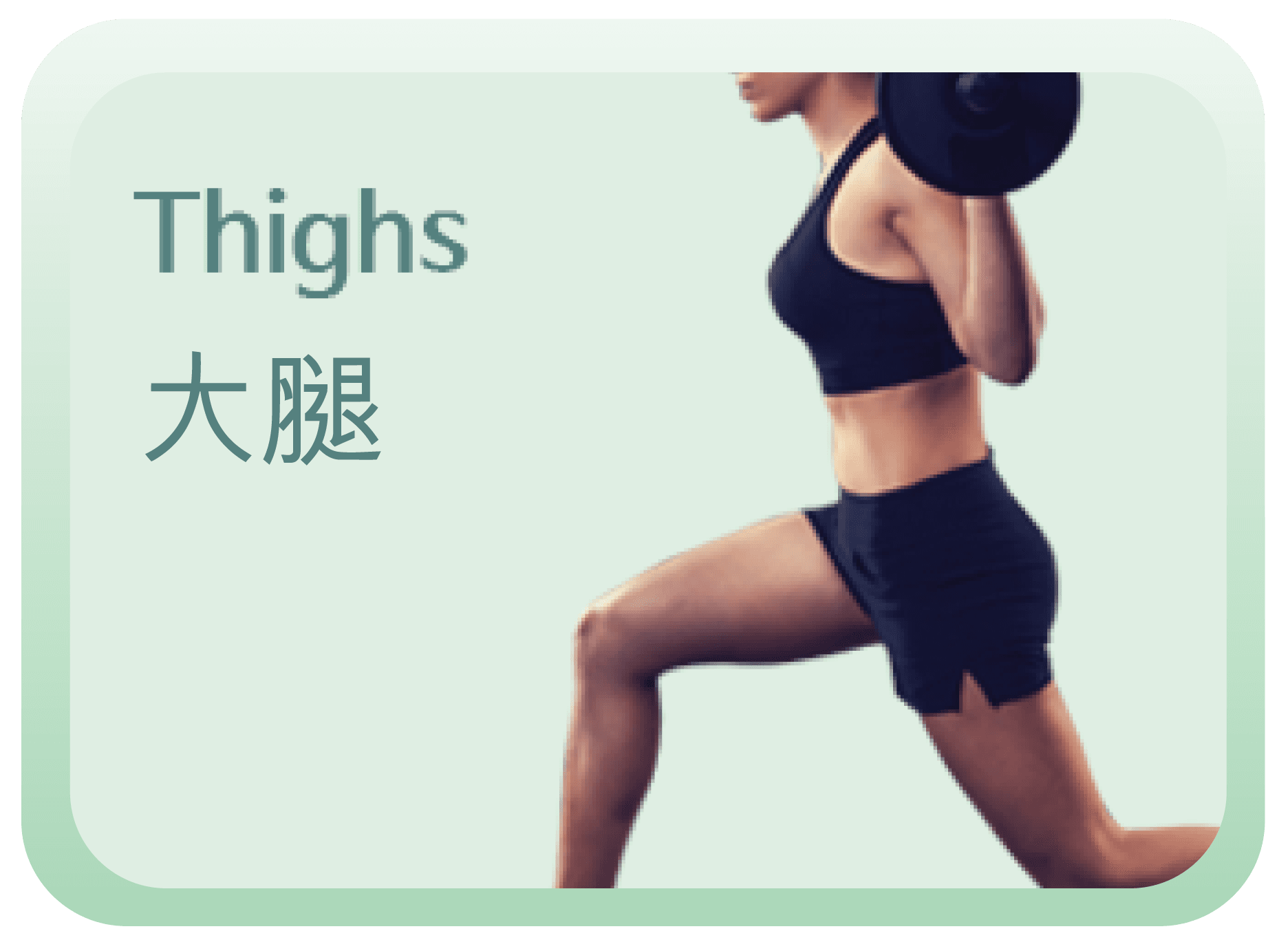 CMSlim 腿部肌肉訓練示意