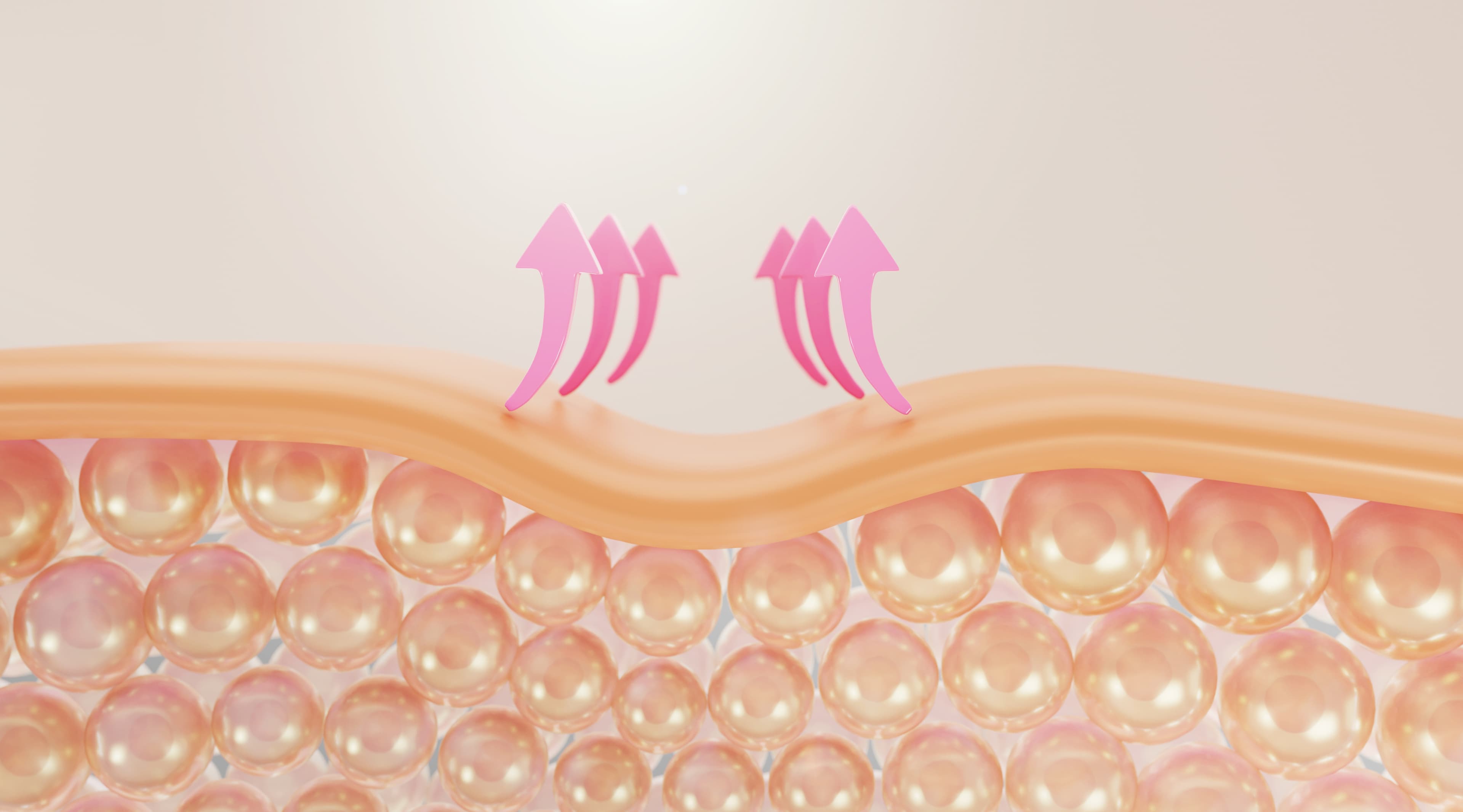 saggy-skin-skin-cell-skin-layer-up-3d-rendering.jpg